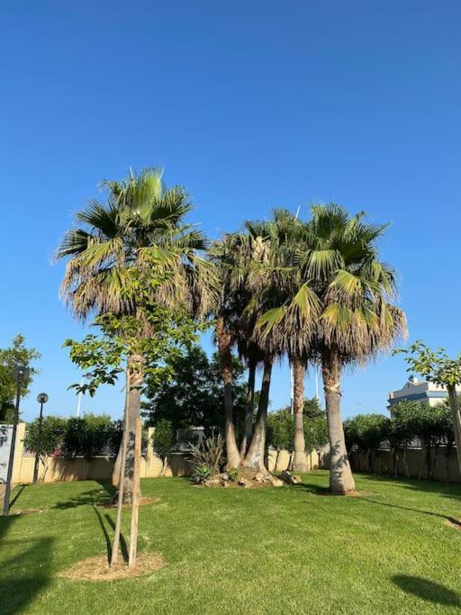 Bajo En Primera Linea De Playa 阿尔考斯布里 外观 照片